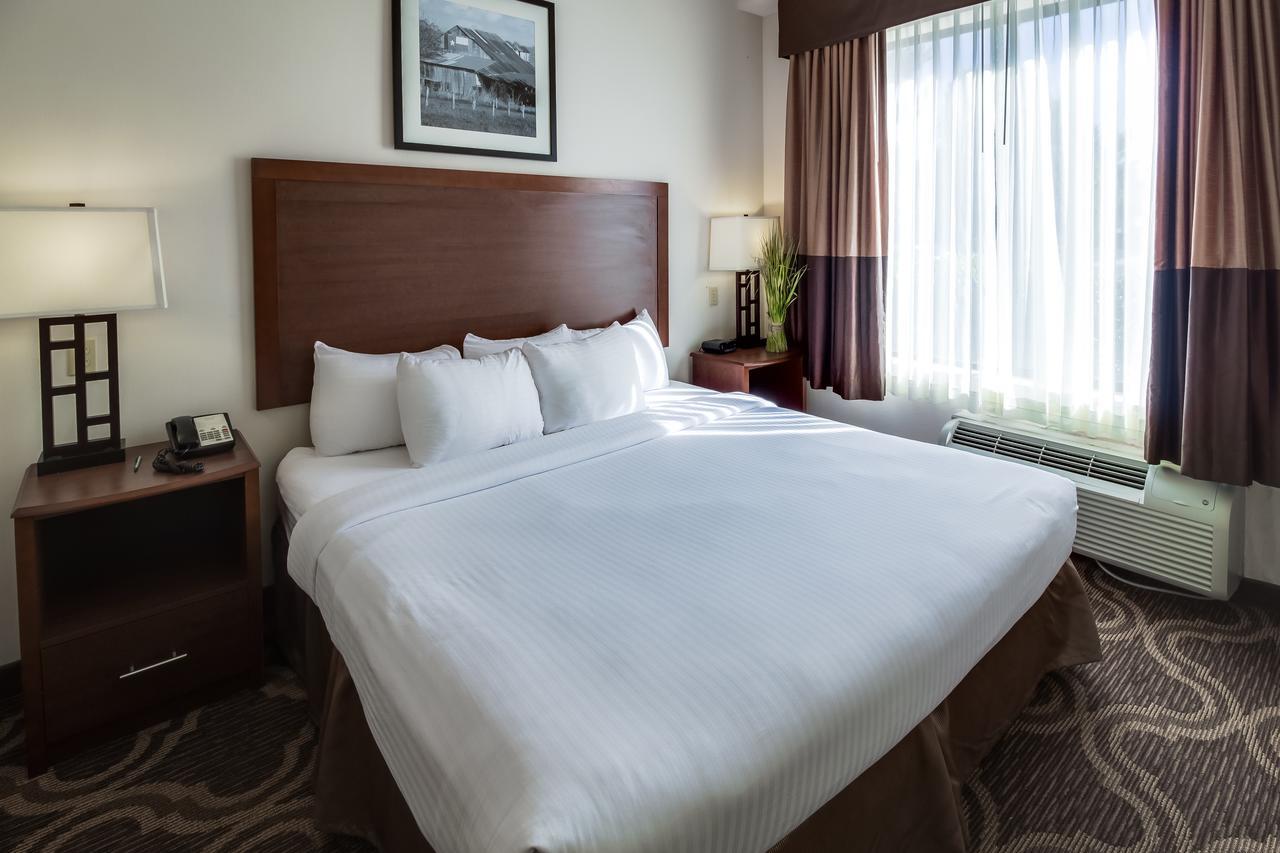 Ashmore Inn And Suites Лаббок Экстерьер фото
